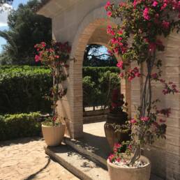 Casa-pi-finca-ferienwohnung-mallorca-04