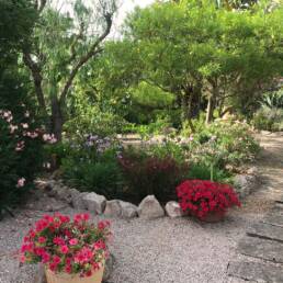 Casa-pi-finca-ferienwohnung-mallorca-09