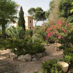 Casa-pi-finca-ferienwohnung-mallorca-12